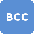 Blackwell Customs Construction